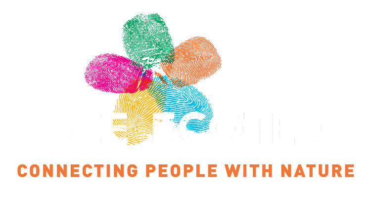 Fuze Ecoteer Logo